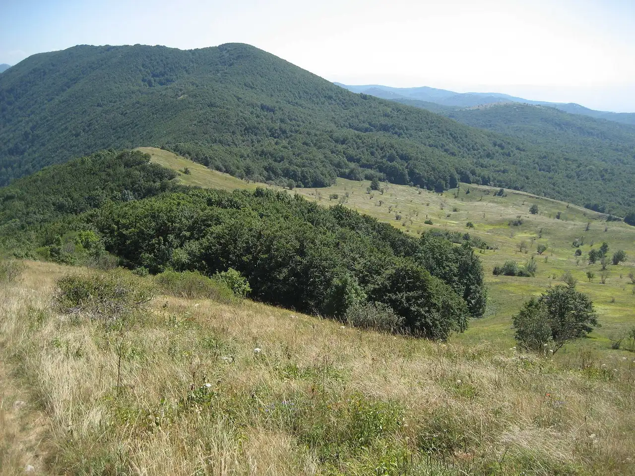 The fenced wooden walkway of the Gorski Kotar gorge running above the green water below