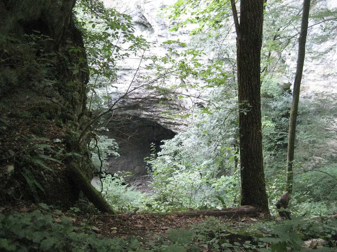 The Pazin chasm opening beneath the walls of Pazin castle where the Pazinčica river sinks underground